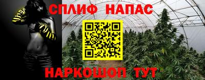 ECSTASY Бугуруслан