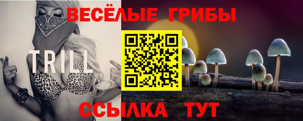 Ростов Великий  Псилоцибиновые грибы прущие грибы  Вход с VPN  Псилоцибиновые грибы Cubensis 